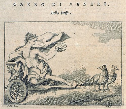 073_Carro di Venere.jpg