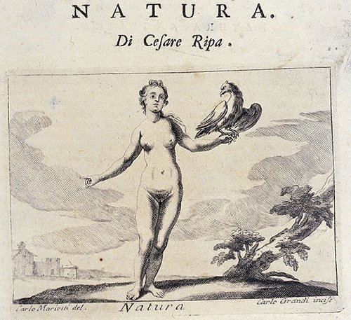 275_Natura.jpg
