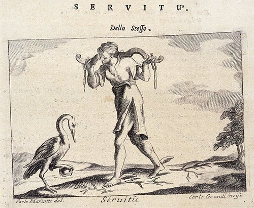 325_Servitu.jpg