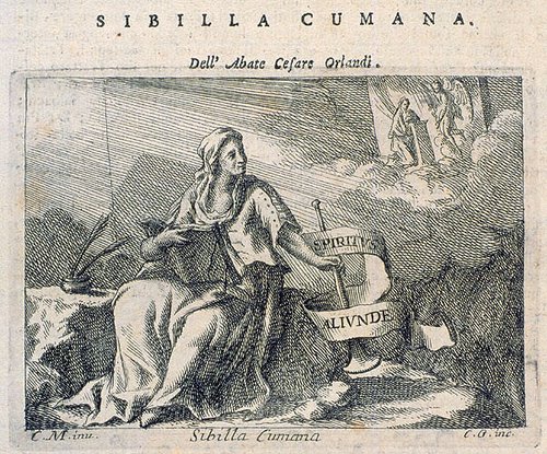 326_Sibilla cumana.jpg