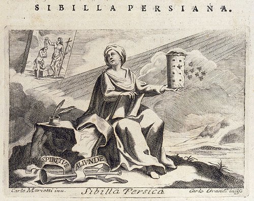 327_Sibilla persiana.jpg