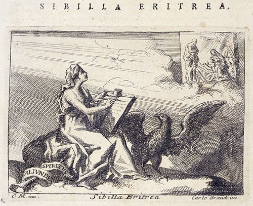 328_Sibilla eritrea.jpg