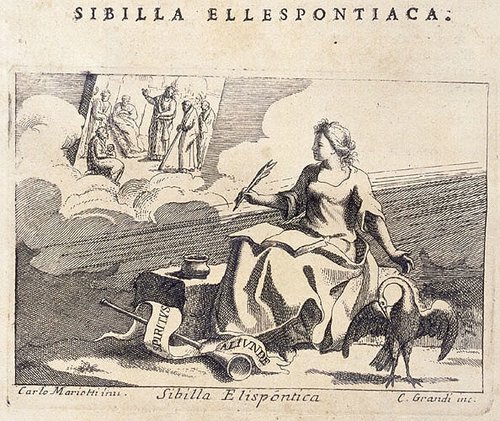330_Sibilla ellespontiaca.jpg