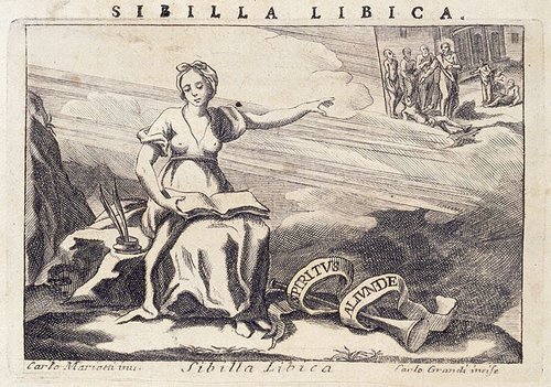 331_Sibilla libica.jpg