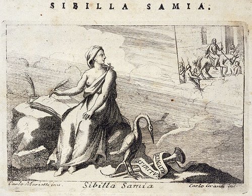 332_Sibilla samia.jpg
