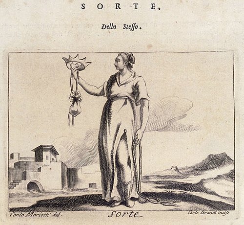 341_Sorte.jpg