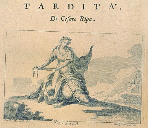 349_Tardita.jpg