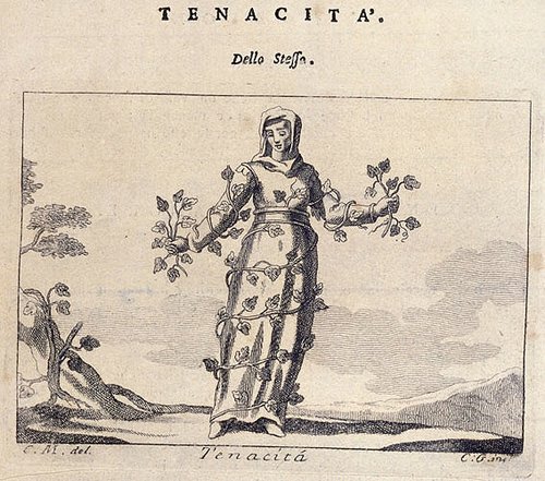 351_Tenacita.jpg