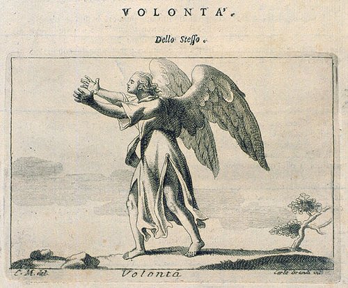 373_Volonta.jpg
