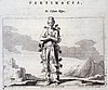 295_Pertinacia.jpg