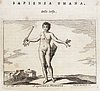 319_Sapienza umana.jpg