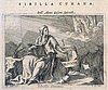 326_Sibilla cumana.jpg