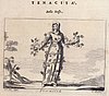 351_Tenacita.jpg